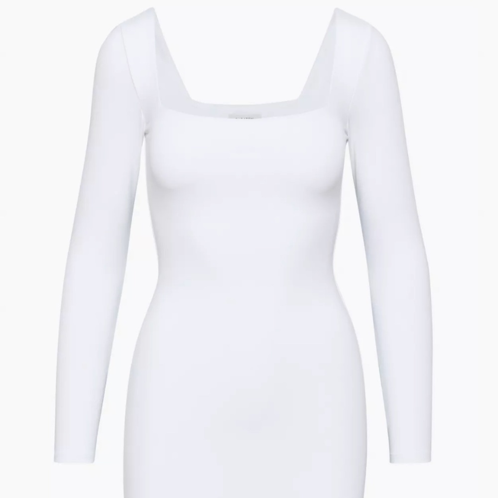 Aritzia Dress